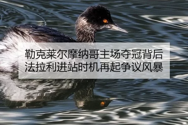 lei-ke-lai-er-mo-na-ge-zhu-chang-duo-guan-bei-hou-fa-la-li-jin-zhan-shi-ji-zai-qi-zheng-yi-feng-bao-2-238.jpg